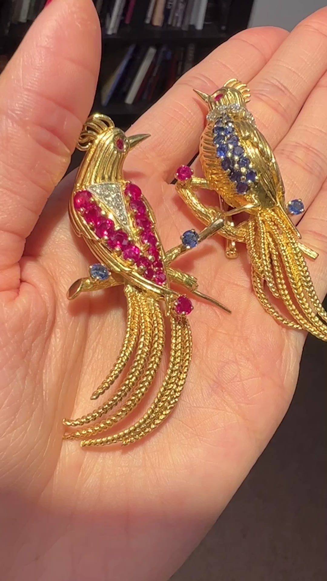 Pair of 18K Gold, Sapphire, Ruby, Diamond Bird Brooches